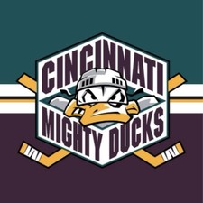 2002-03 Cincinnati Mighty Ducks Hockey Gold Star Chili Trading Cards