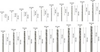 Bosch Metallbohrer-Set Probox HSS-G 19-Teilig