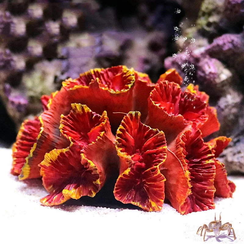 Markenlose synthetische Knstliche Korallen fr Aquarien aus Kunststoff  online kaufen | eBay.de