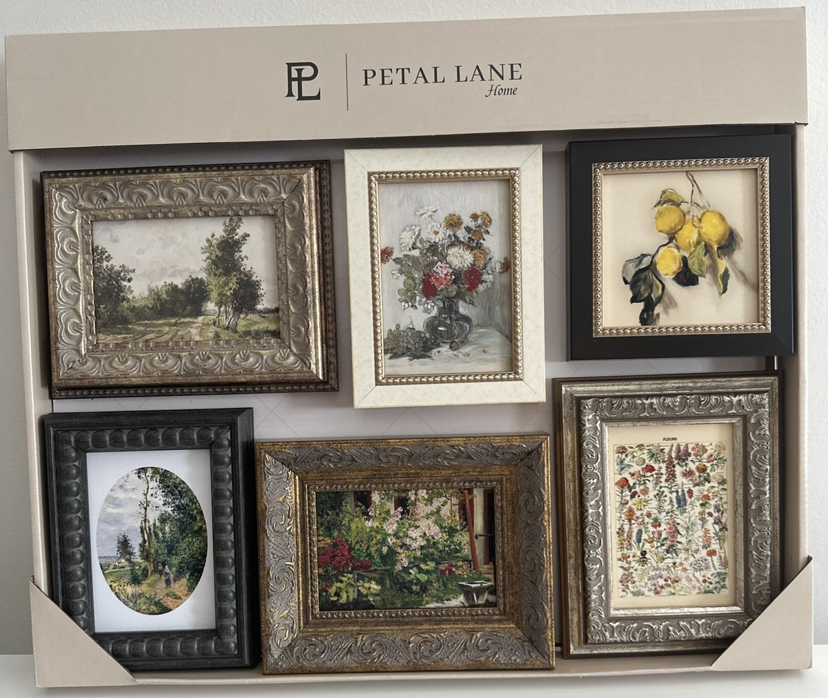 Ｐetal額縁セット 6 pk Set PETAL LANE Mini Gallery Wall Art Framed Print Decor NEW