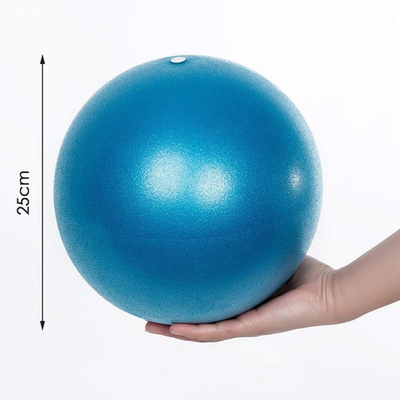 NAMASTE Sports® Balle De Pilates 25 Cm – Caoutchouc, Gonflable, Antidérapant – Peau D'Éléphant, Charge Max 120 Kg – Avec Poster D'Entraînement Et Pompe