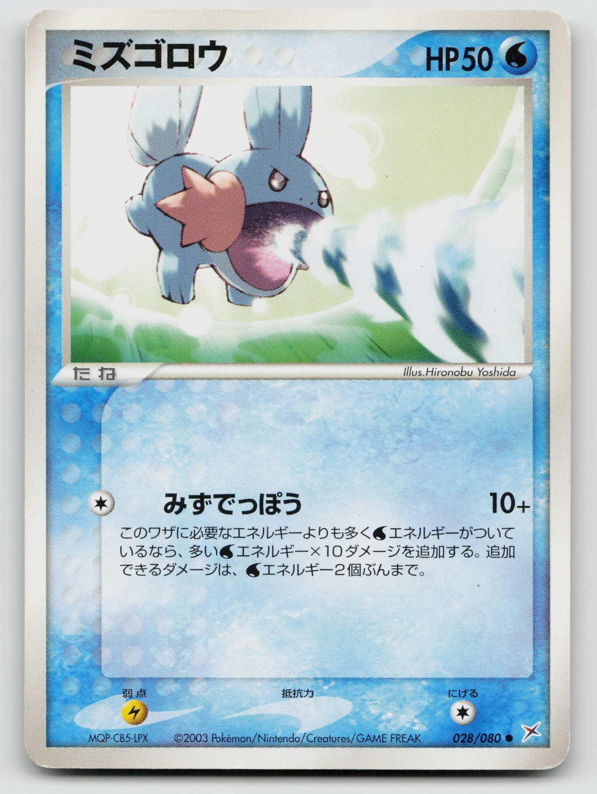 Mudkip 028/080 Magma vs Aqua Common 2003 Japanese