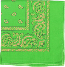 22 Inch Cotton Paisley Bandana