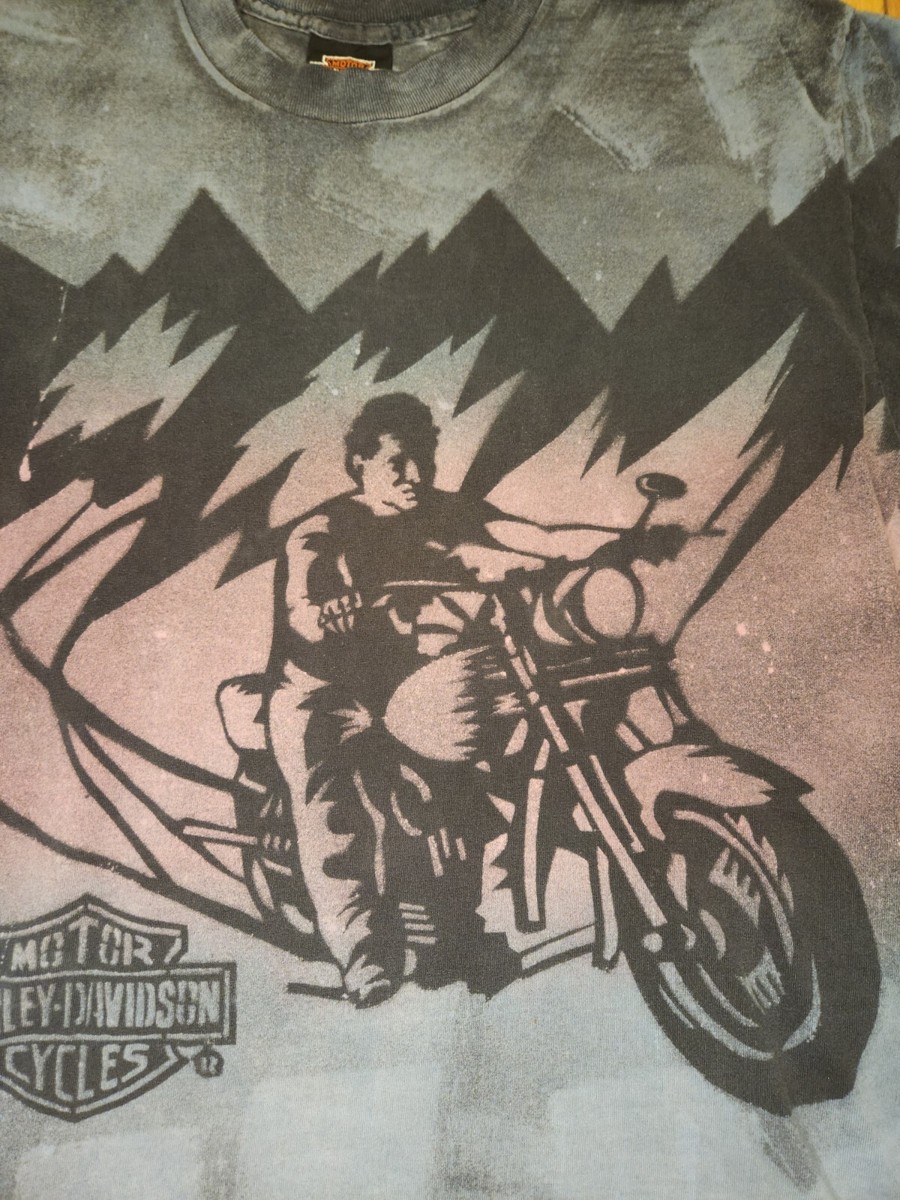 Vtg HARLEY DAVIDSON Motorcycles HOLOUBEK Single Stitch T Shirt