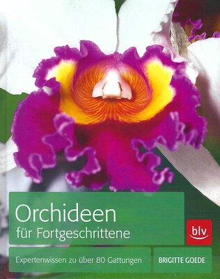 Orchideen für Fortgeschrittene - Brigitte Goede - BLV Verlag