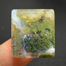 Scenic Moss Agate Cabochon 20.5x18x5mm High Quality 23 ct
