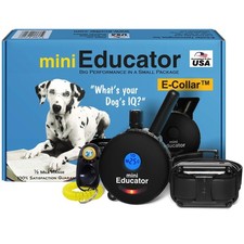 Educator ET-300 Black Mini E Collar for Dog Training with Remote - 1/2 Mile