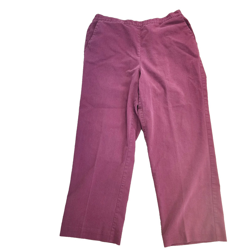 ALFRED DUNNER  purple pants- size 14
