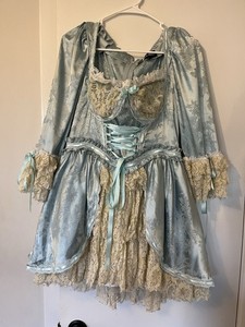 Marie Antoinette Halloween Costume With Wig Included