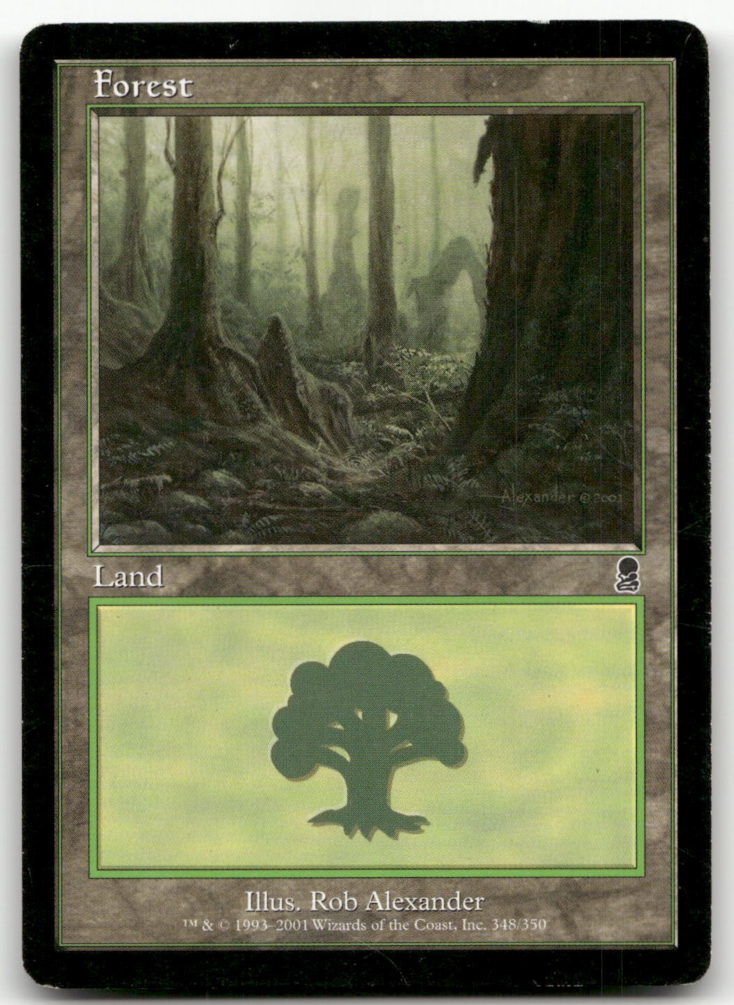 Forest (348) #348 (MP) Odyssey ODY Magic MTG