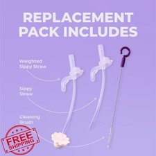 b.box Lansinoh Sippy Cup Replacement Straw Pack Brush