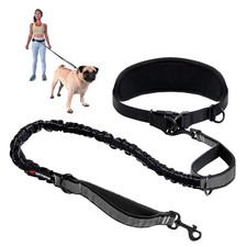 Heavy Duty Hands Free Dog Leash  One Small/Medium Dog Up to 45 lbs  Comfort...