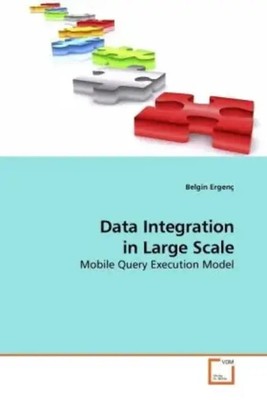 Belgin Ergenç | Data Integration in Large Scale | Taschenbuch | Englisch