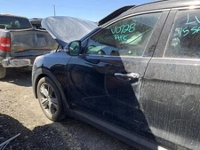 (LOCAL PICKUP) Driver Left Front Door LWB Fits 13-19 SANTA FE 1381874