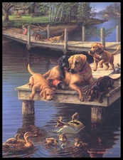 Greeting Card - Dog Puppy - James A. Meger - Any Occasion - 0328