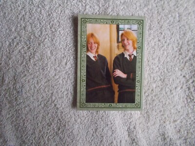Panini: Harry Potter Evolution 2022 ''THE WEASLEYS'' #228 Trading Card