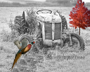 Ford Tractor Pheasant Bathroom Home Decor Green Photo Picture 8x10 Wall Art Ebay