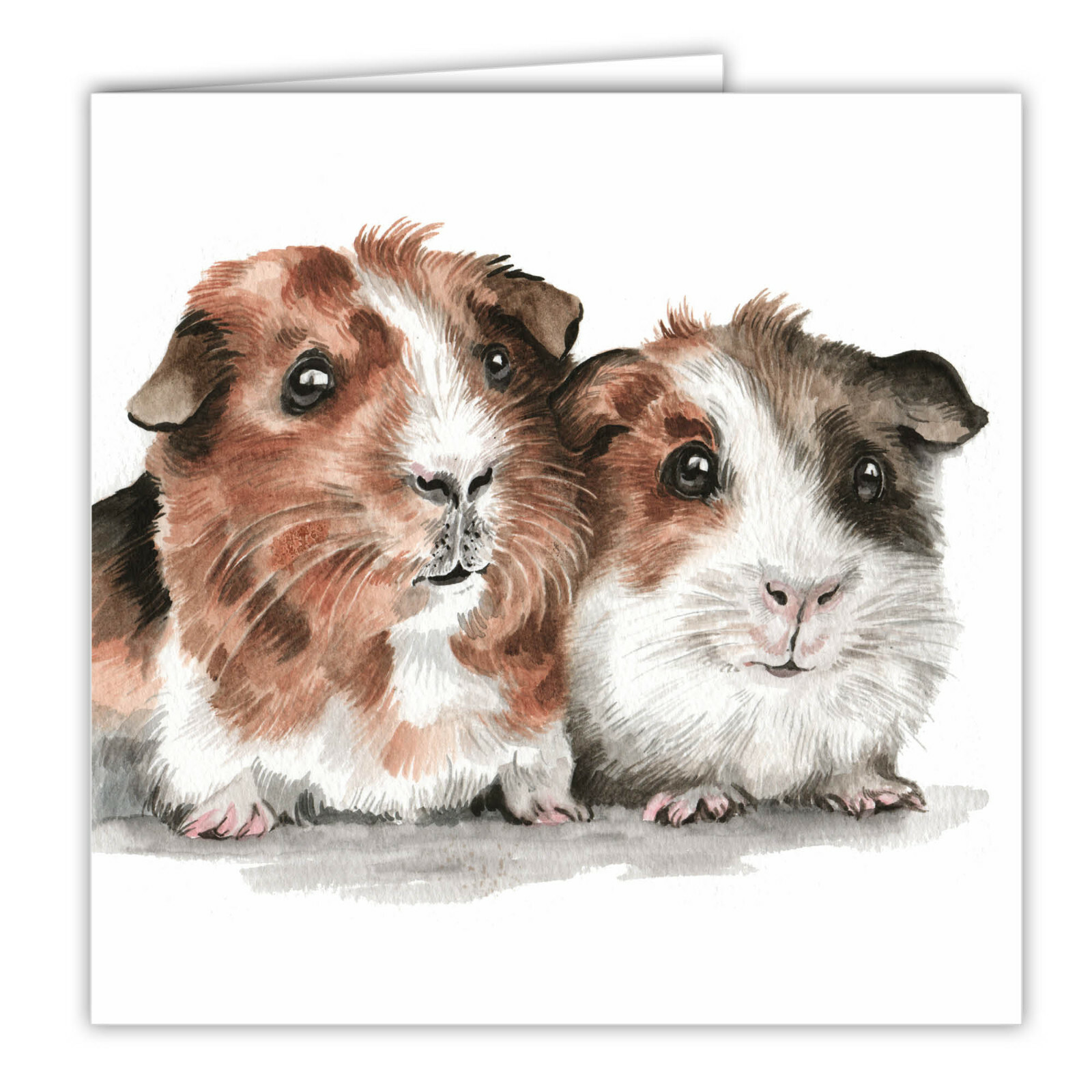 Guinea pigs greetings card guinea pig blank card piggies WaggyDogz art card pigs