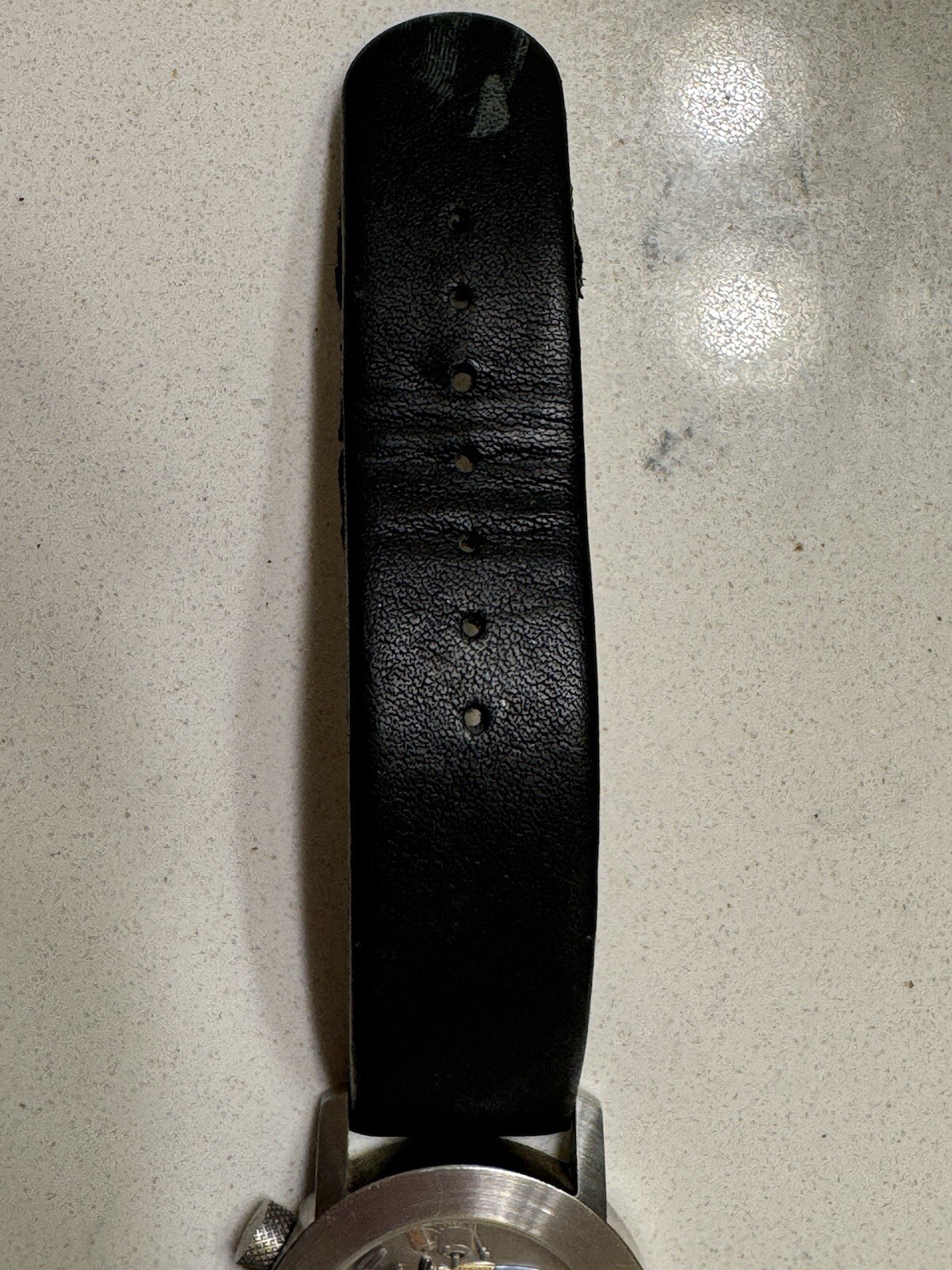 Picture 13 of 13