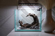  SCAPE-30 Nature Aquarium Aquascape Driftwood   1 Gallon