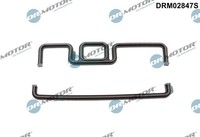 Dr.Motor Automotiv DRM02847S Dichtung, SteuergehäUse FüR BMW