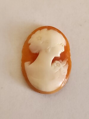 Vintage Natural Shell Cameo 25.5x19mm -Slight Chipping At Edge- Carved Shell