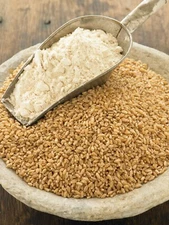 HARD WHITE WHEAT - GRAIN SEEDS - for Making Indian Roti ( Tortilla) 20lb