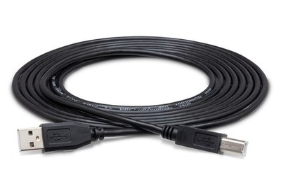 Hosa USB-210AB - 10 Feet 10 Feet, Clear