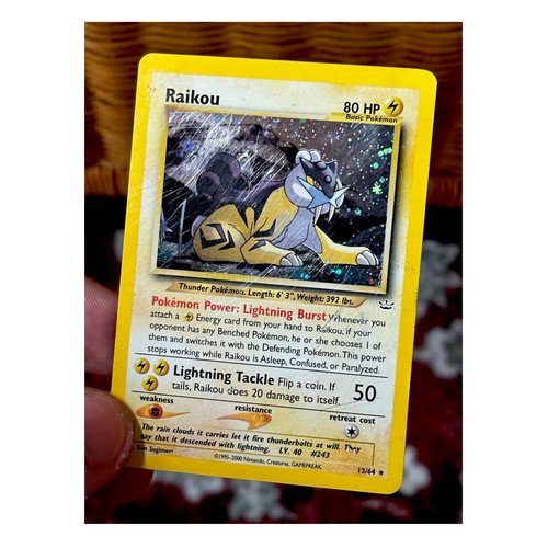 Raikou (13)