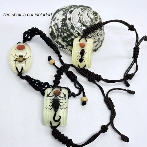 Scorpion Spider Ant Glow Bracelet in Resin Specimen Ornament Collection 3 pcs