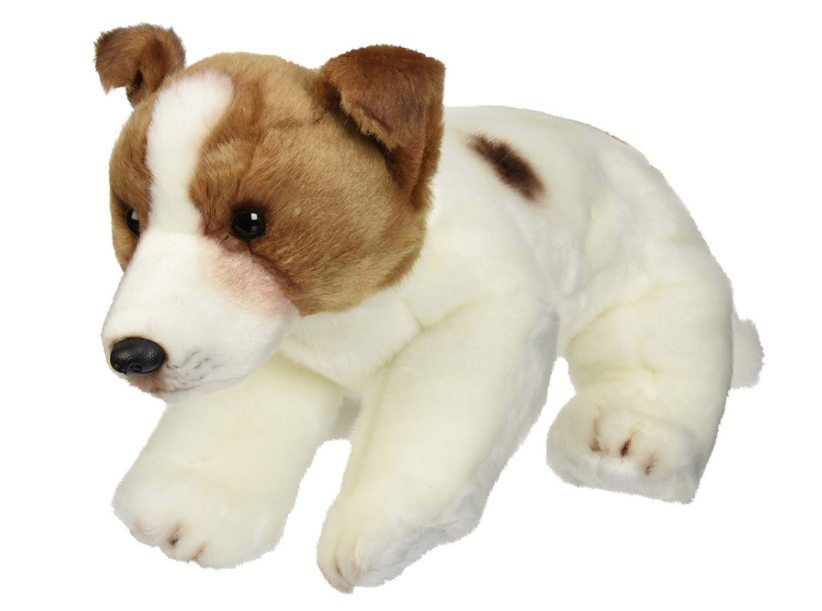 toy jack russell terrier