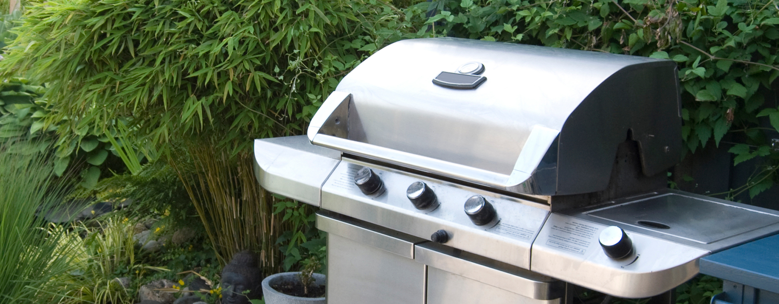 Ein Edelstahlgrill steht vor einem Busch.