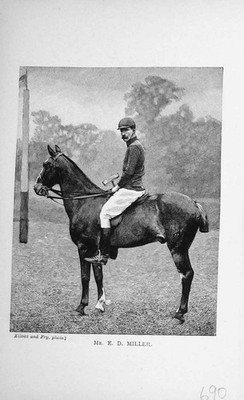 Original alter antiker Druck Portrait 1896 Herr E.D Miller Pferd Polo Sport 19.