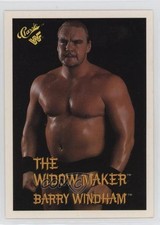 1990 Classic WWF Barry Windham #42 0w8