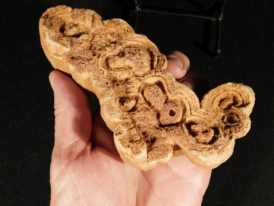 ¡Más grande! Fósil ESTROMATOLITO de 600 millones de años 100% natural Marruecos 579gr Foto 2 de 4