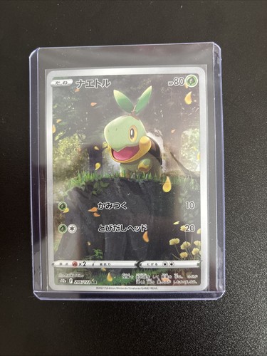 Turtwig (JP) — VSTAR Universe
