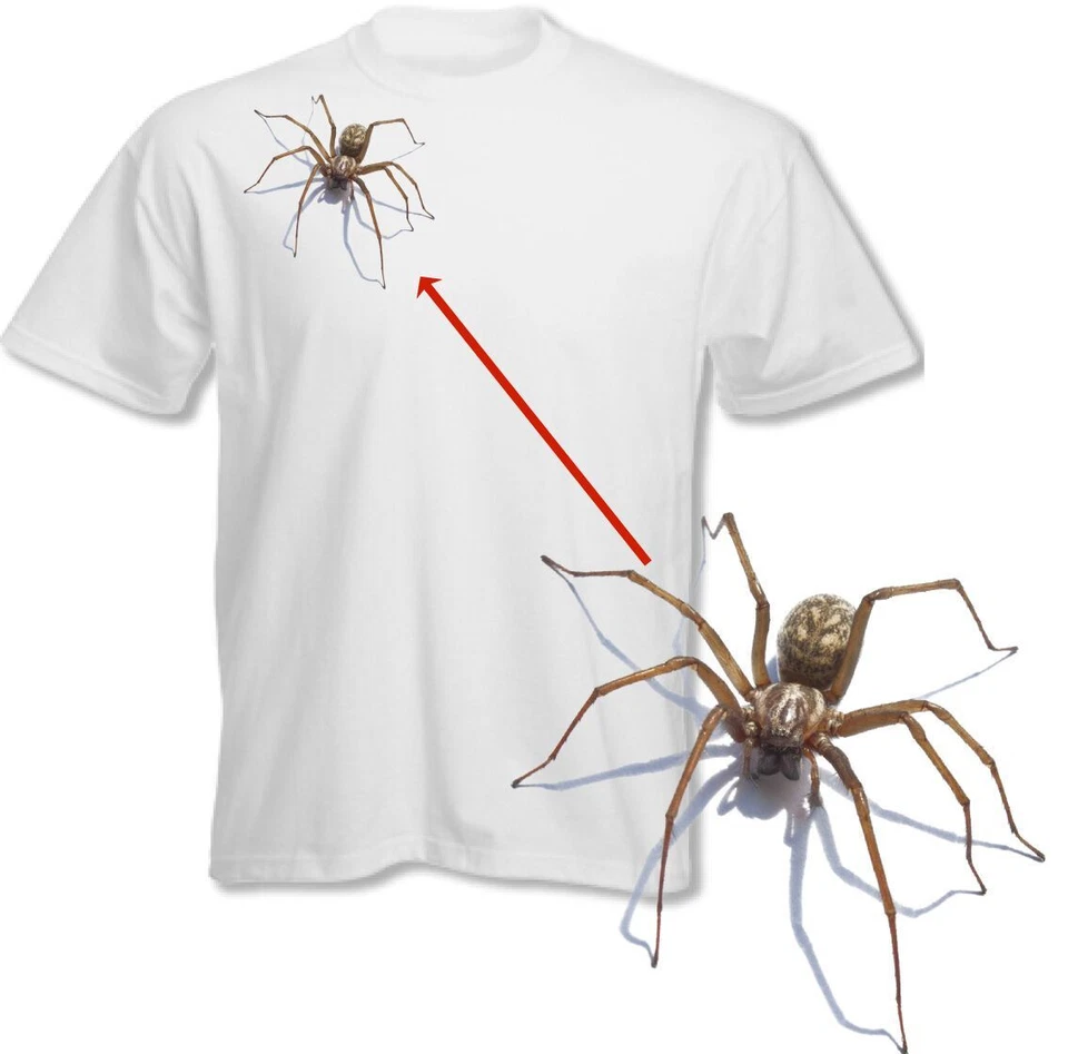Spinne Maglietta Halloween Herren Lustig Scary Streich Horror Arachnophobie - Bild 1 von 1