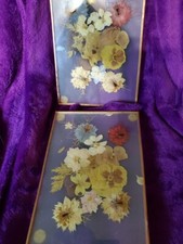 2 Flower Pressed Framed Pictures