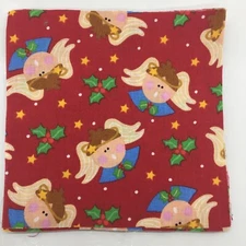 24 PC 5 Inch Quilting Fabric Charm Pack I Design Christmas 5FS720 Free Ship