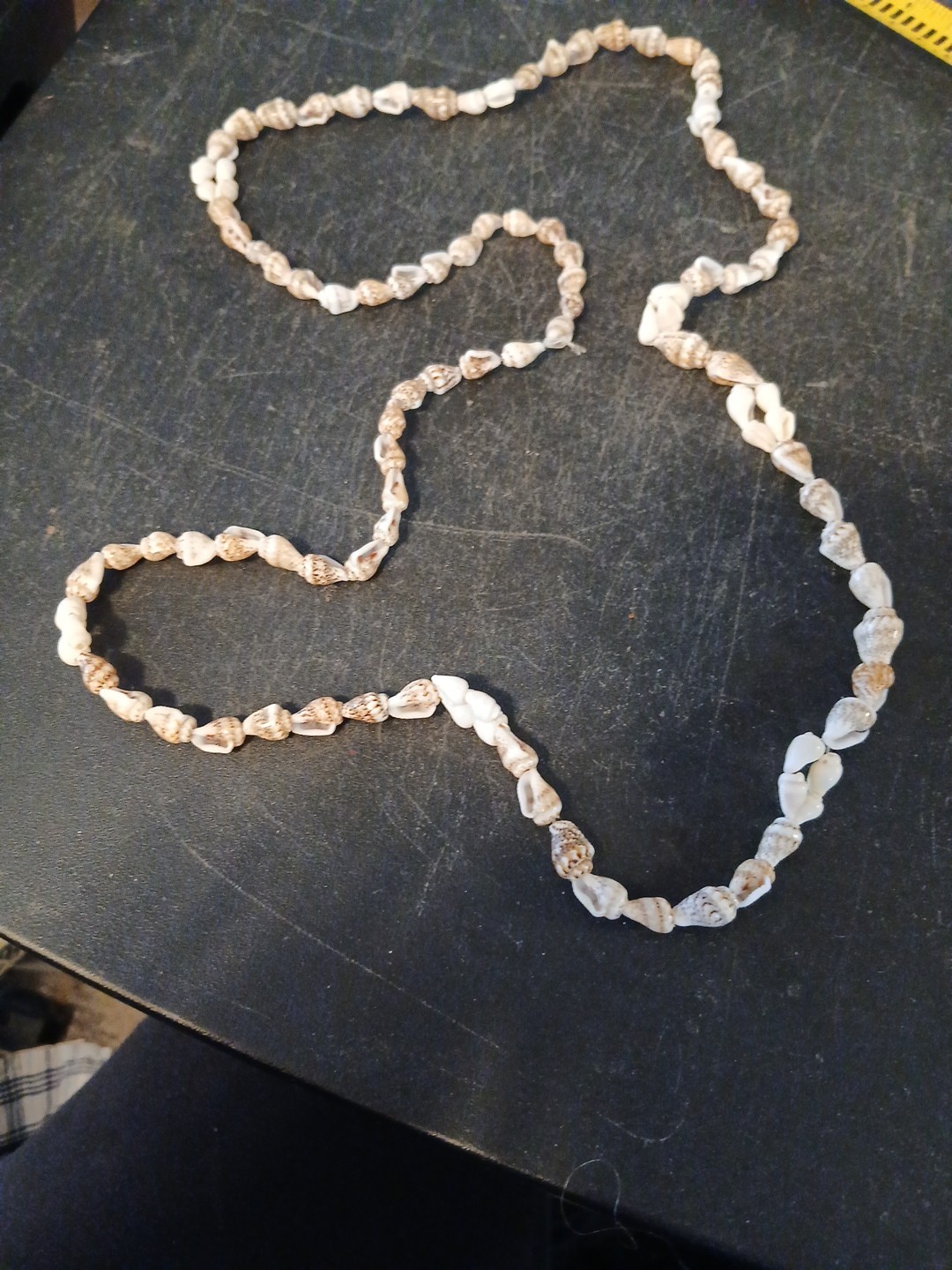 Cute Tiny Conch Shell Necklace - image 6