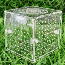 Aquarium Fish Breeding Box Acrylic Transparent Isolation Tank Hatching Incubator