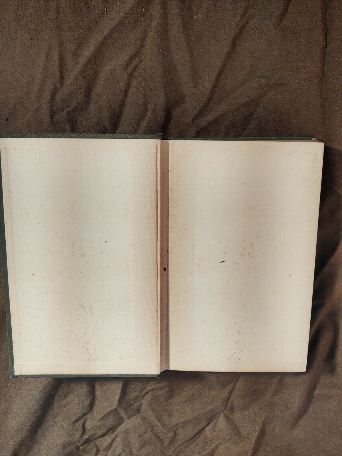 Picture 9 of 12