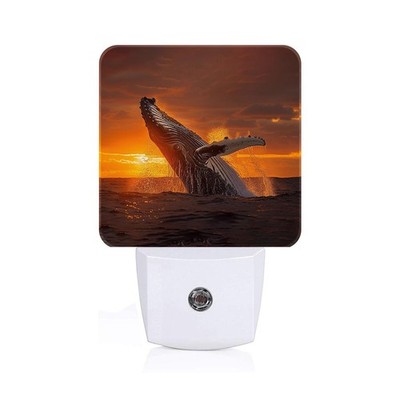 Sunset Humpback Whale Night Light Plug Into Wall Decorative Square Lamp