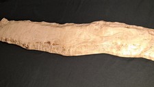 Curly Live Edge White Oak Slab