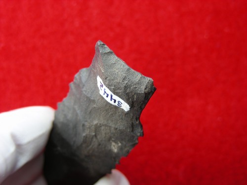 (COA) SEARCY 3-7/16" ARKANSAS Authentic Indian Relics - Picture 10 of 19