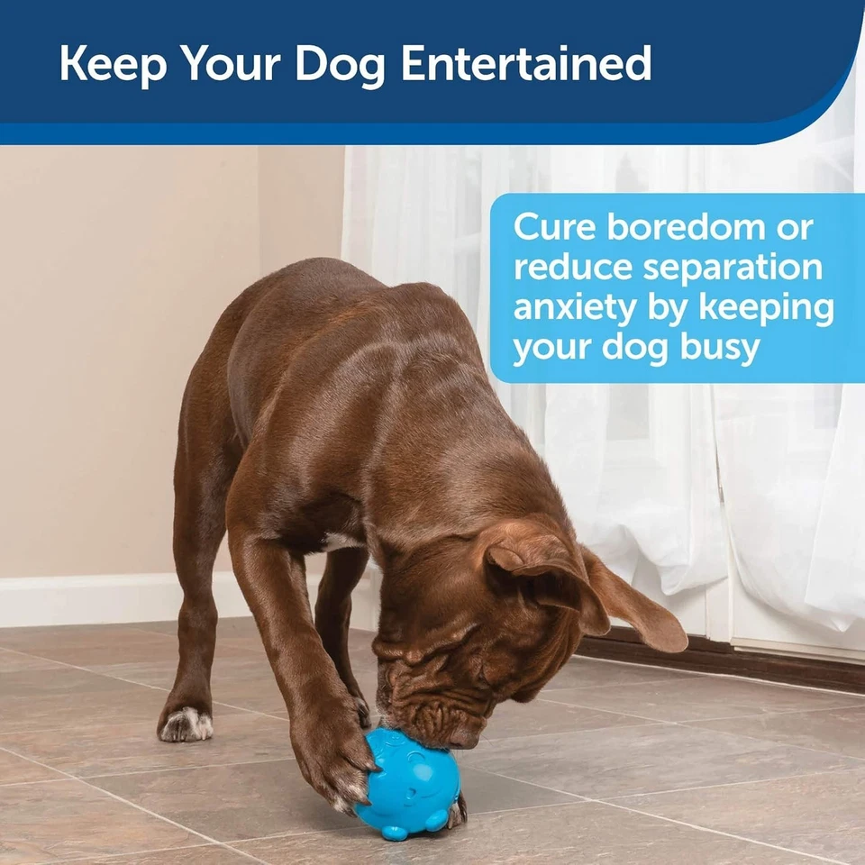 Busy Buddy Hippster Treat Dispensing 狗玩具-重型咀嚼者的益智玩具 — 第 3/4 张图片