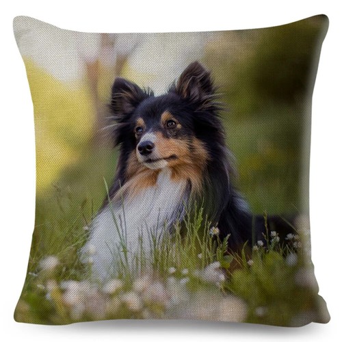 Shetland Sheepdog Cute Pet Animal Dog Printed Pillowcase Decor Cushion Cover - Picture 13 of 42