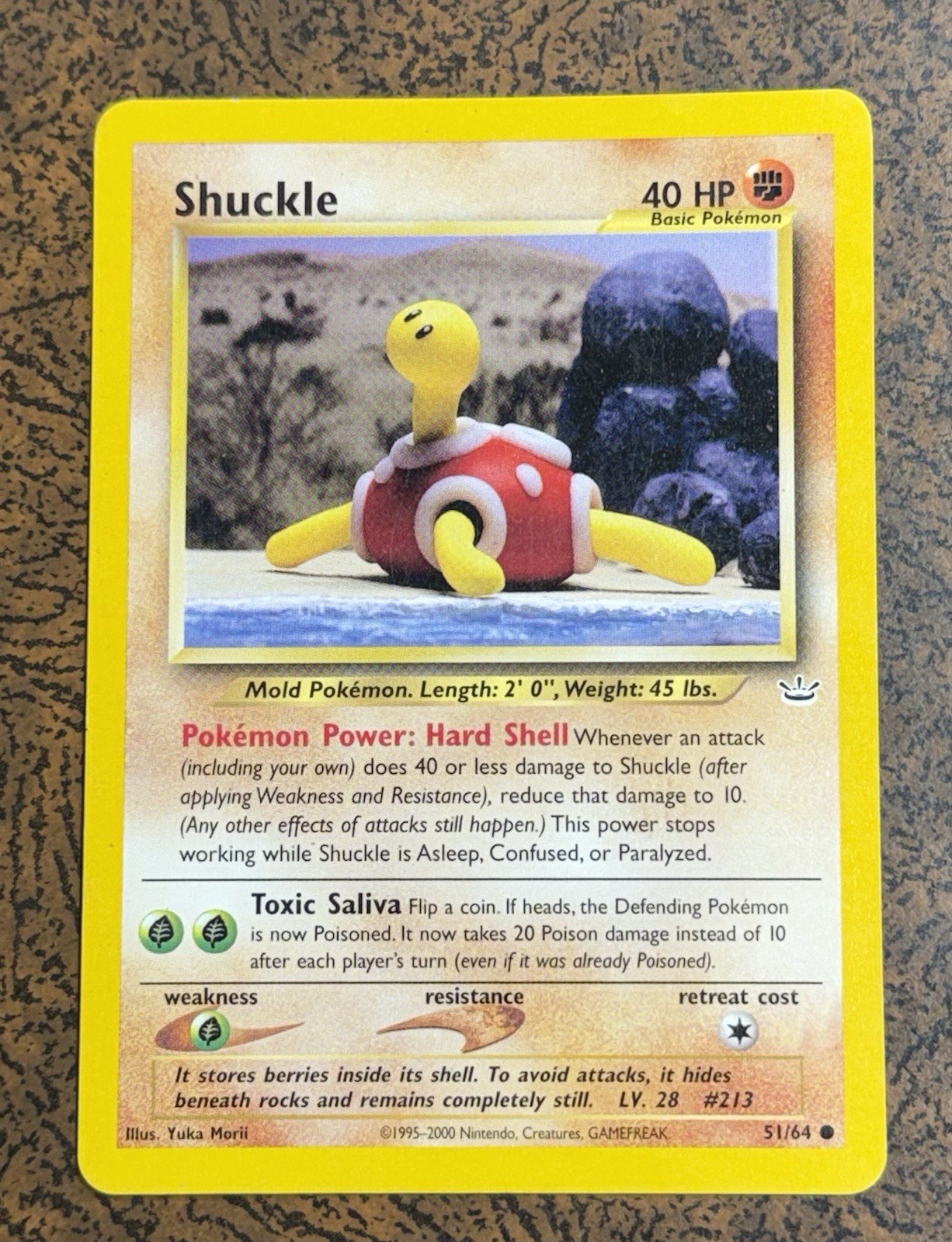 Shuckle 51/64 Neo Revelation Common Pokémon Card