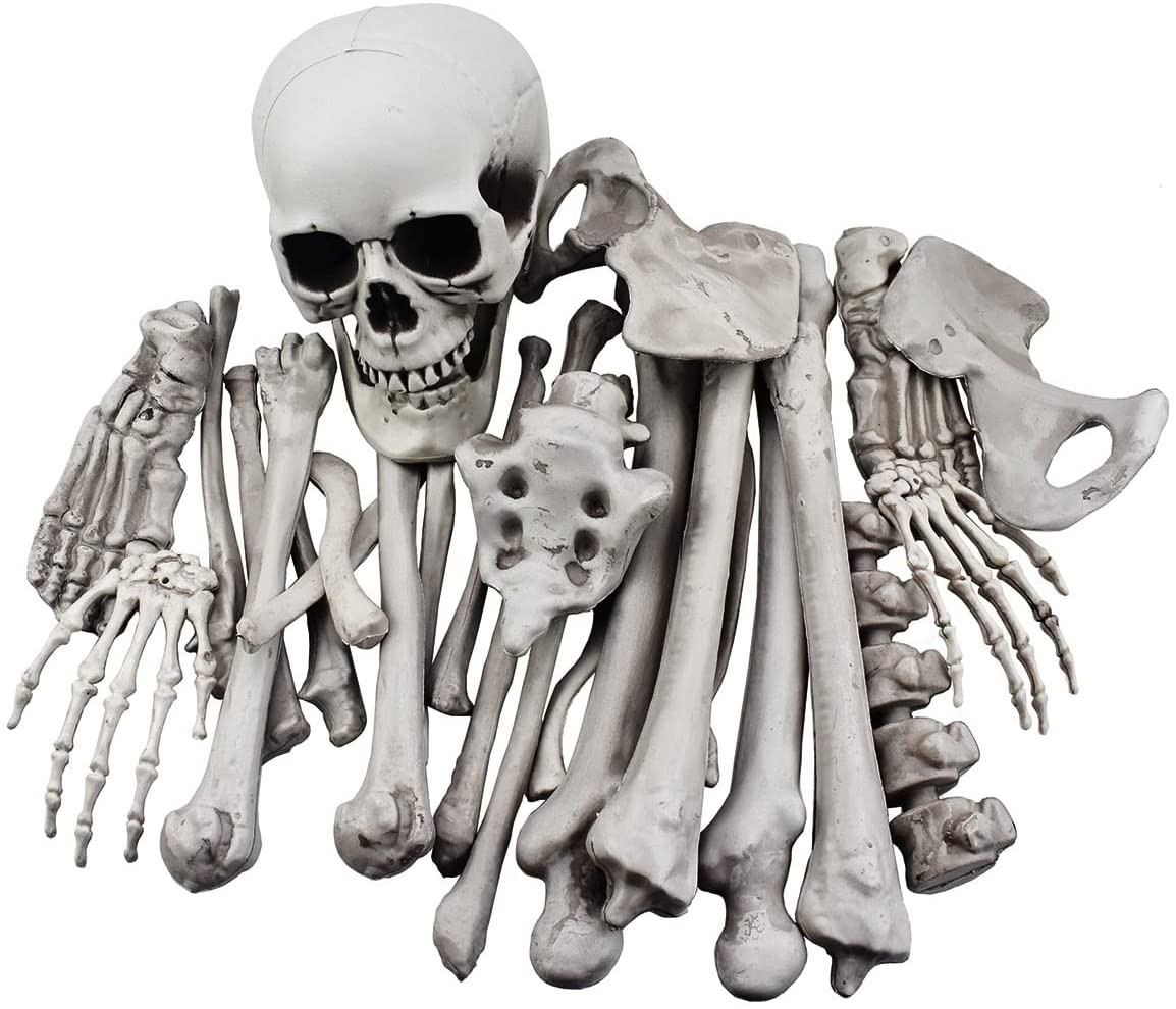 28 Pieces Skeleton Bones and Skull for Halloween Decor or Spooky Graveyard Groun
