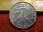 2007 United States American Silver Eagle 1 Oz 0.999 Silver Coin - No Reserve